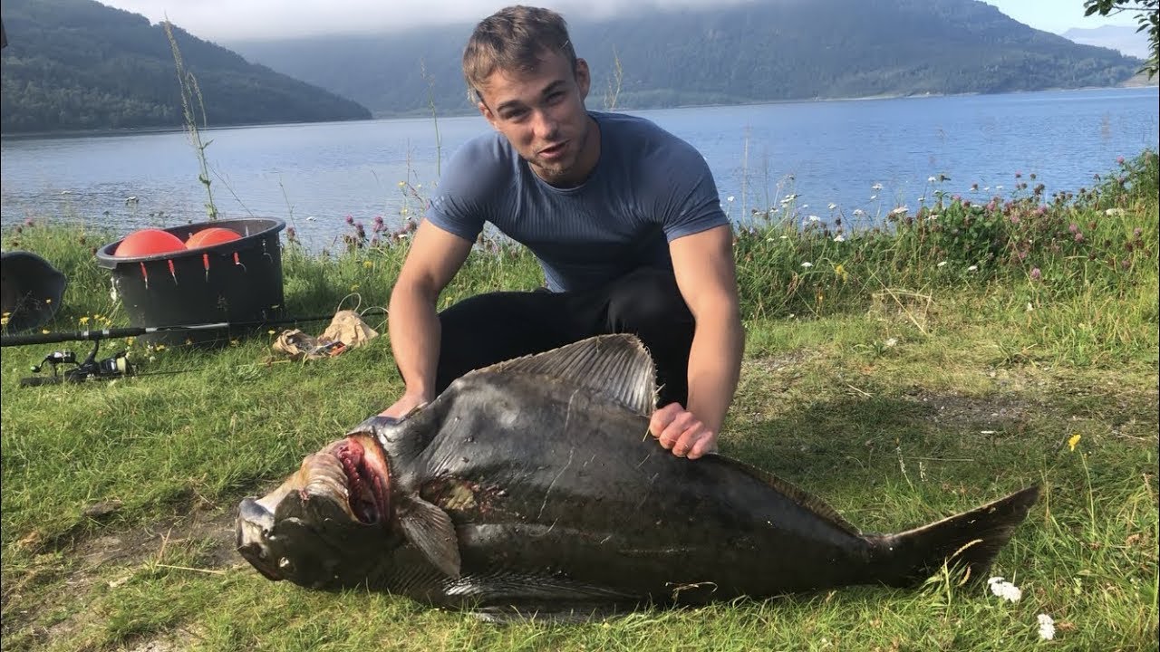 Kveitefiske - Storfangst fra Liten Robåt