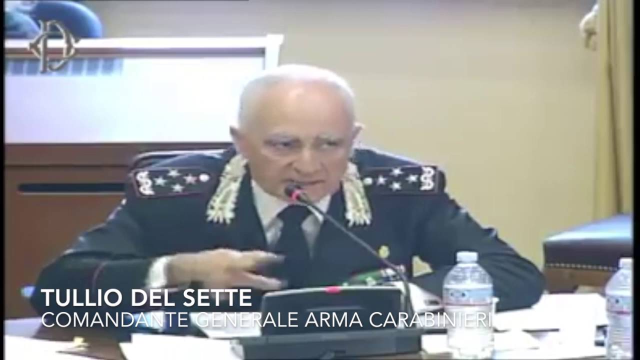 Le dichiarazioni di Tullio Del Sette in audizione al Senato
