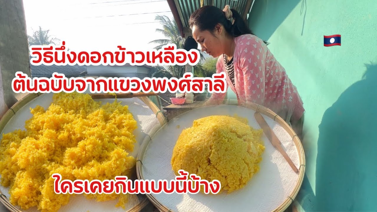 สาวลาวพามาดูวิธีการนึ่งดอกข้าวเหลืองต้นฉบับจากแขวงผ้งสาลี ภาคเหนือสุดของลาวไม่น่าเชื่อจะออกมาดี