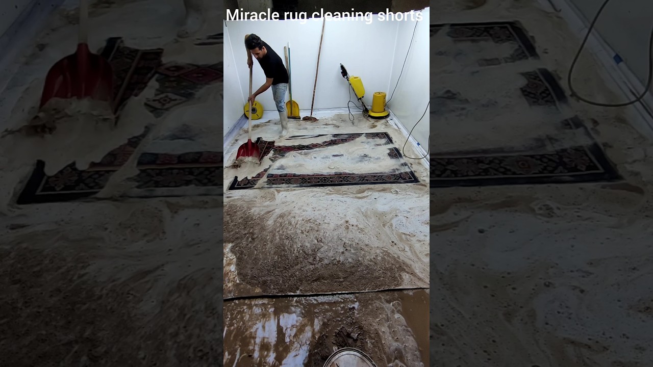 Carpet from the flood!  Satisfactory carpet cleaning asmr satisfying rug cleaning video