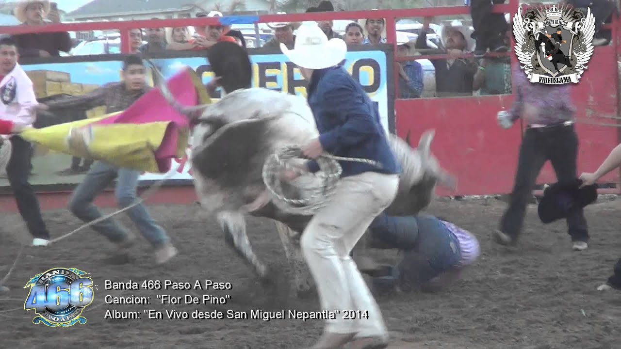 Banda 466 Paso A Paso - 