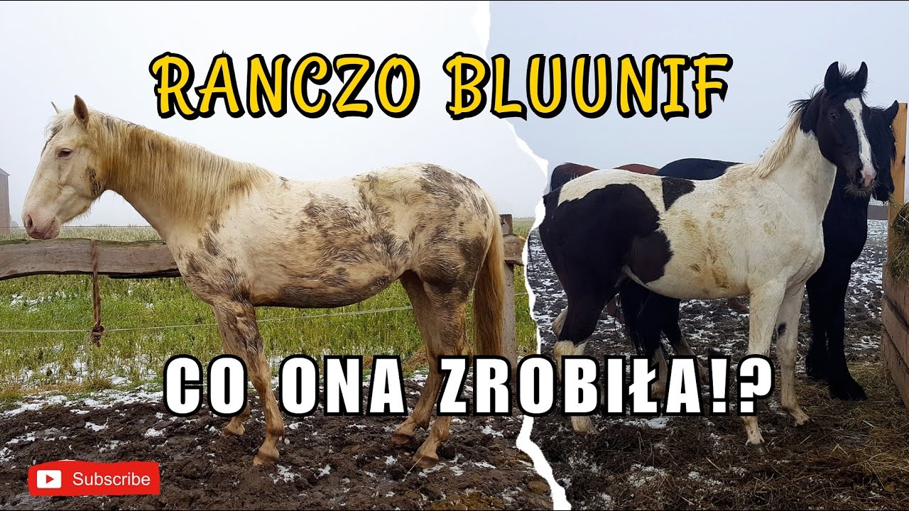 TYLKO NIE TO...