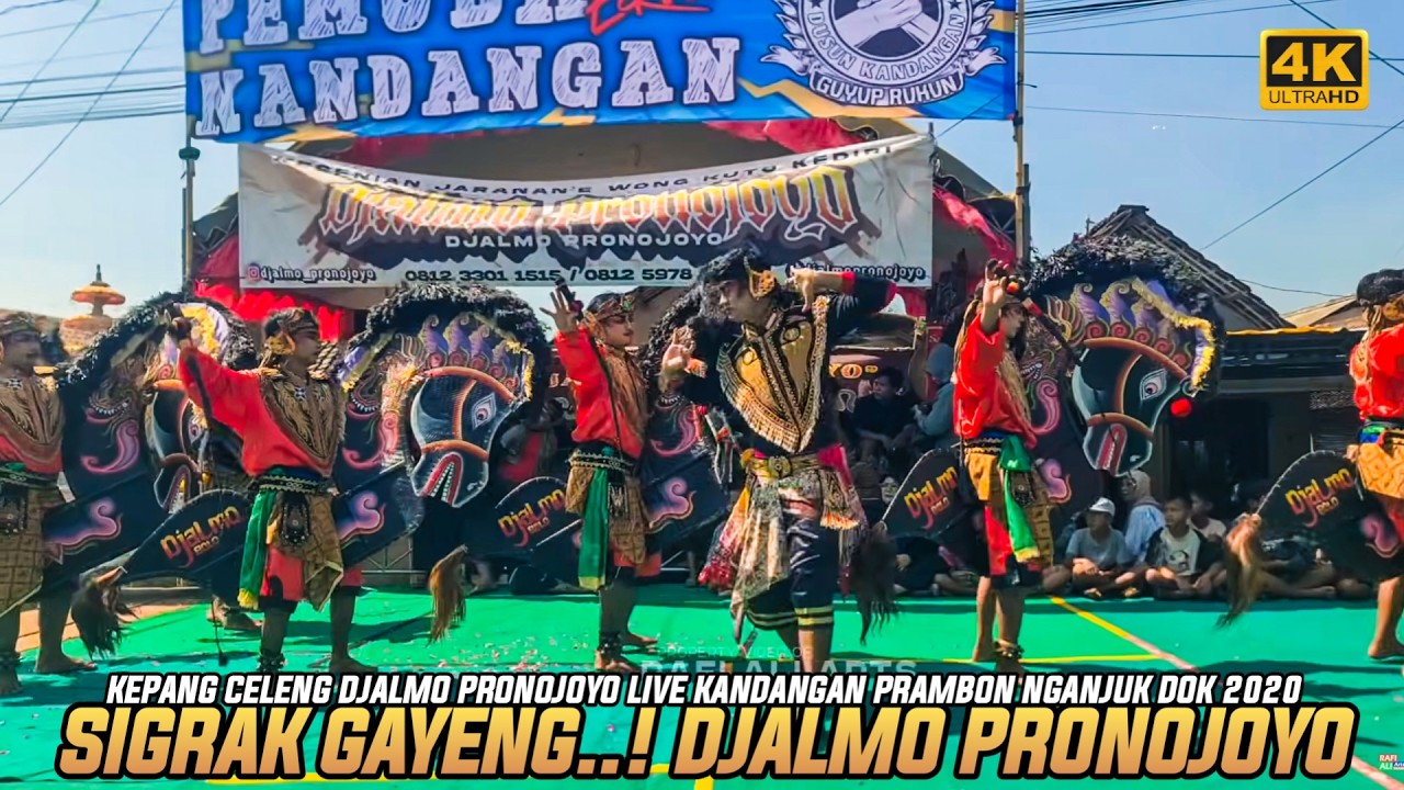 GAYENG🔥Jaranan Djalmo Pronojoyo - Kepang Celeng Live Kandangan Nganjuk