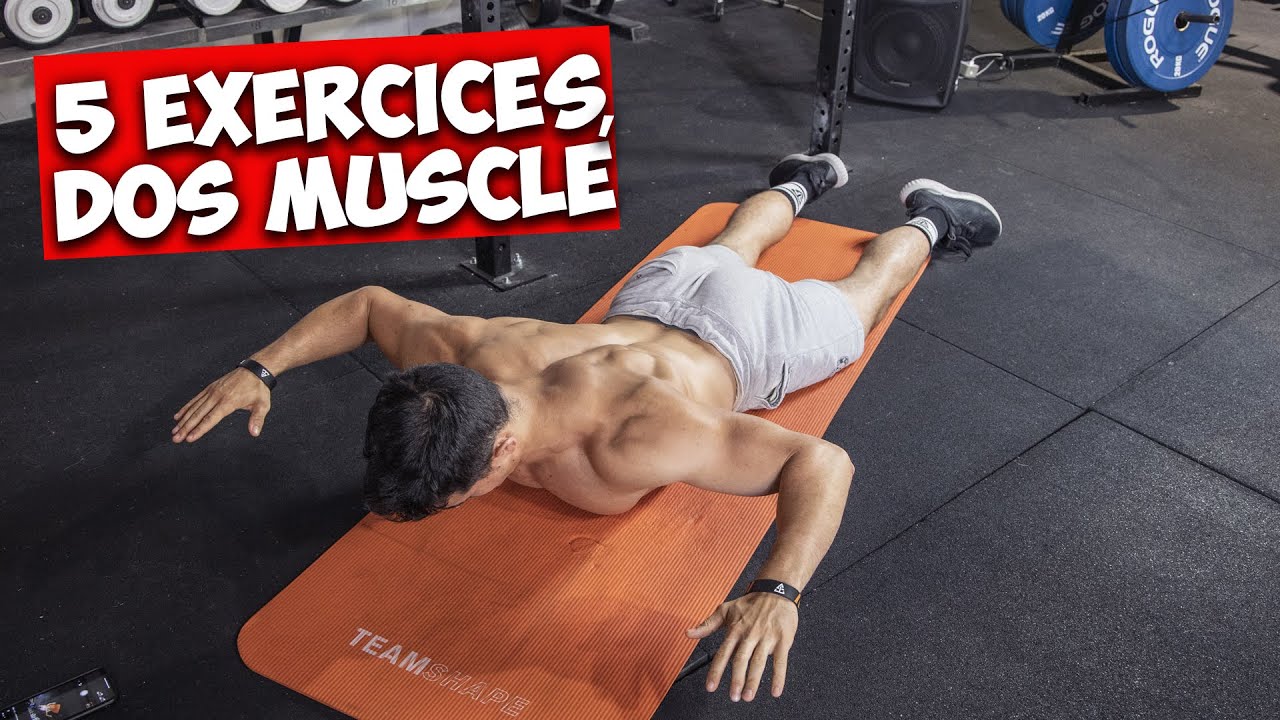 5 exercices pour un dos super muscl&eacute; !