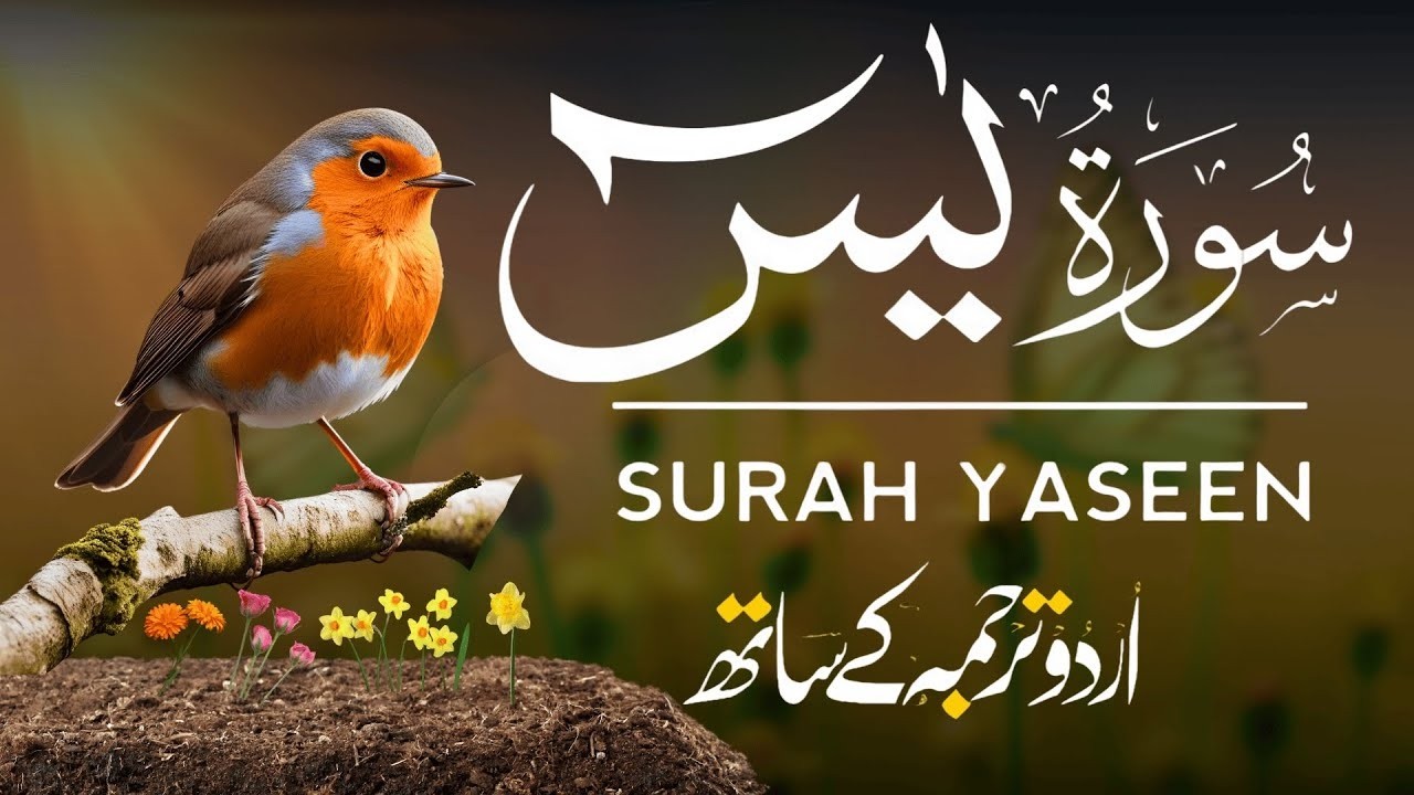 Surah Yaseen | Surah Yaseen With Urdu Translation | Al Furqan Studio | Ep099