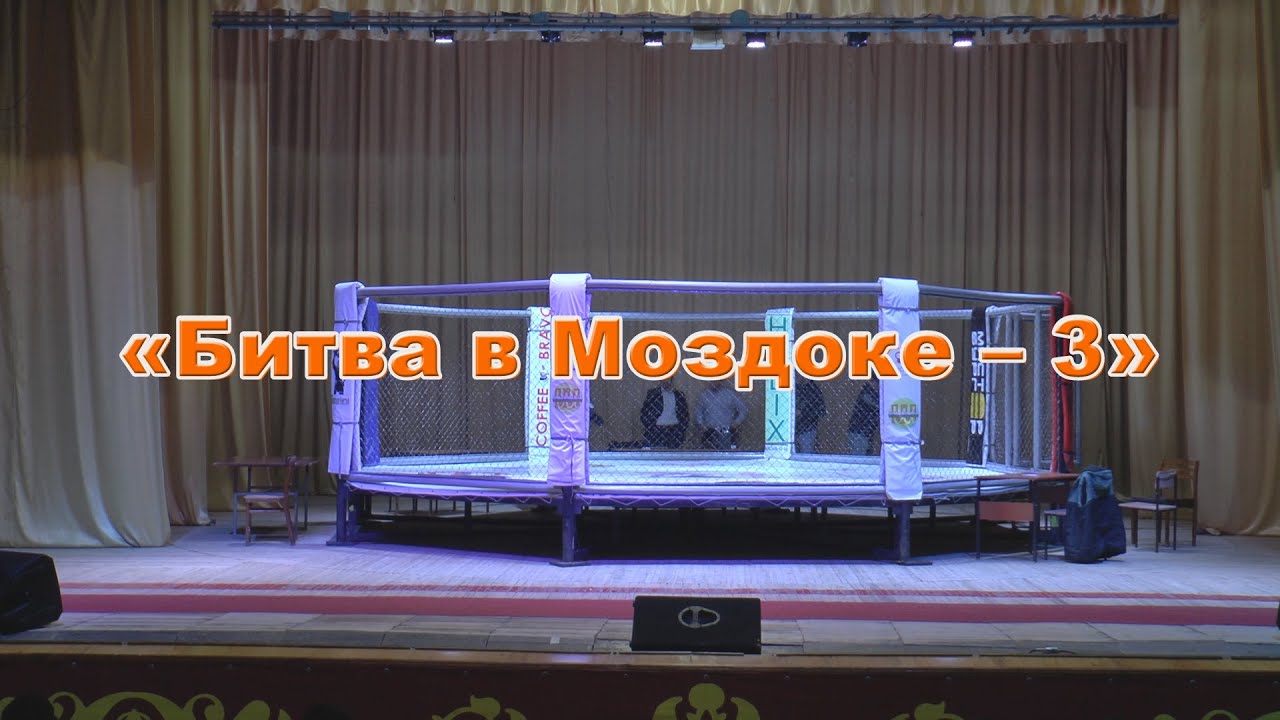 Международный профессиональный турнир по ММА 