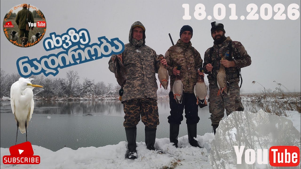 იხვზე ნადირობა და ბონუსად ხოხობის ლამაზი ვიდეო 🔥🪶