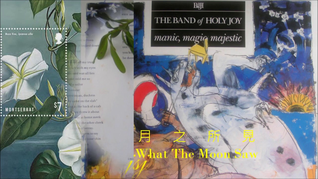 THE BAND of HOLY JOY B3 What The Moon Saw
