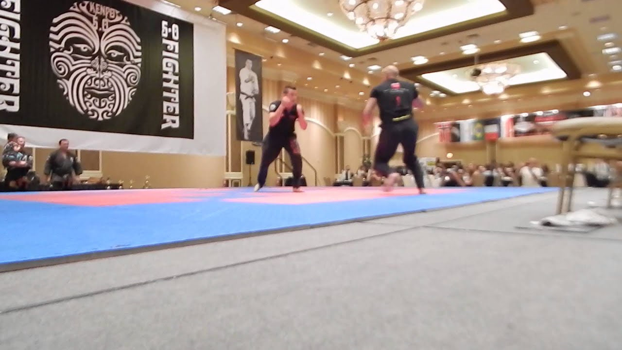 Stive Mogeot Kenpo 5.0 Demo