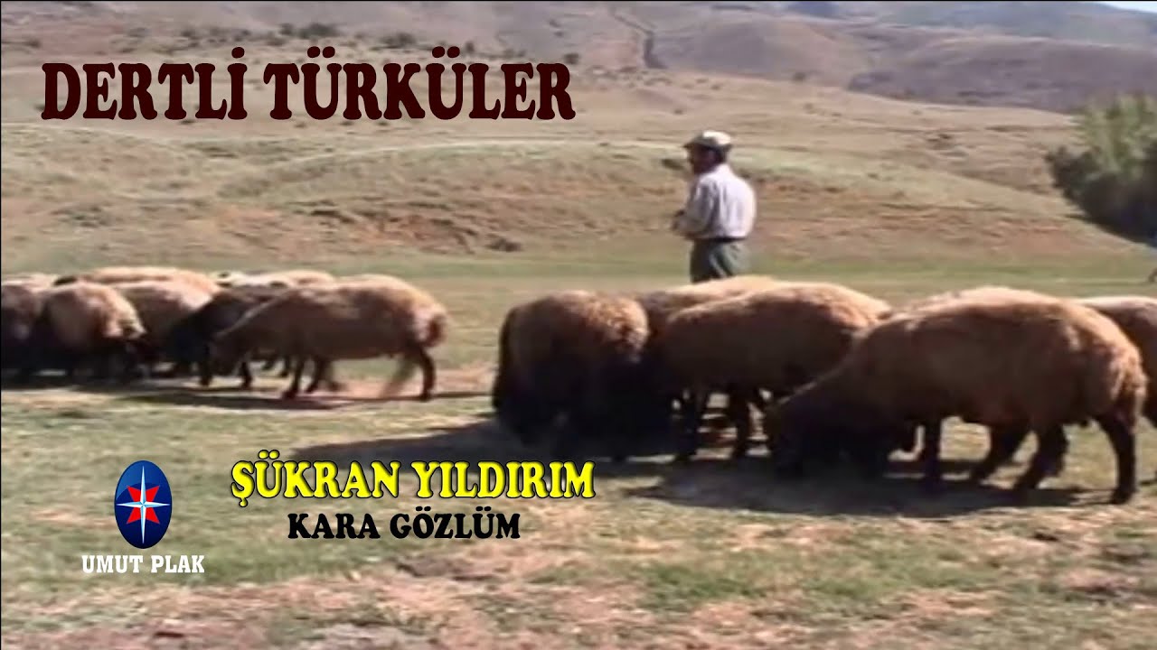 Özlem Hasret Kokan Uzun Hava Dertli TÜRKÜLER ( Köyümü Özledim ) / Şükran Yıldırım - Kara Gözlüm