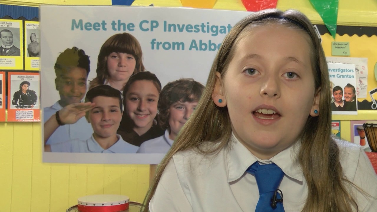 Children's Parliament Investigates Bullying (2017)