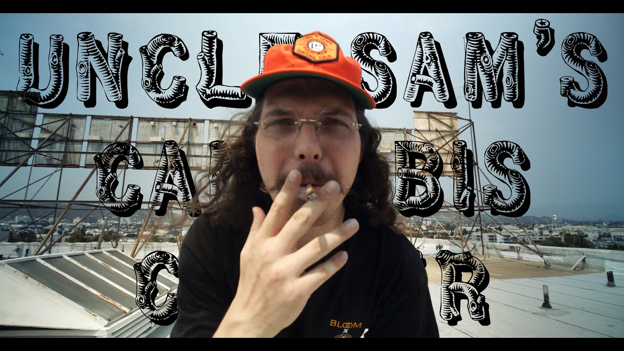 Uncle Sam's Cannabis Corner: Bloom Brands Sam C Long