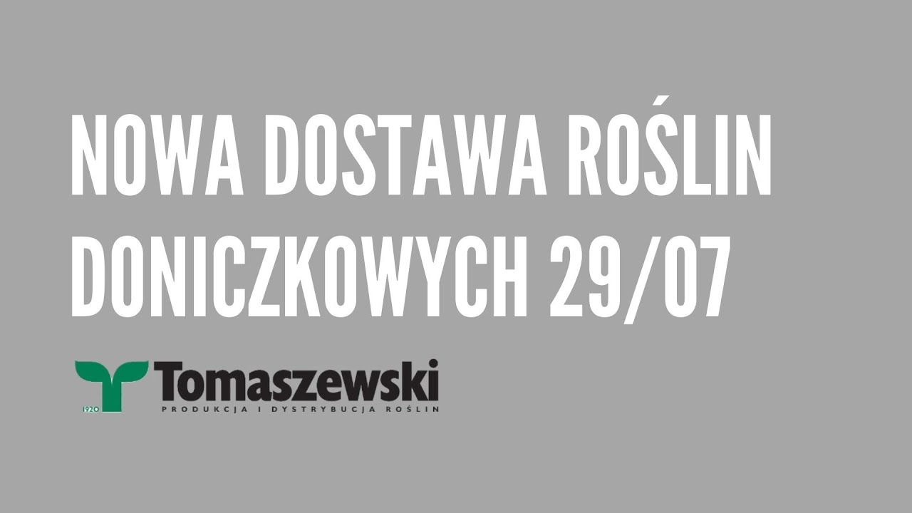 Nowa dostawa EPIPREMNUM w Tomaszewskim