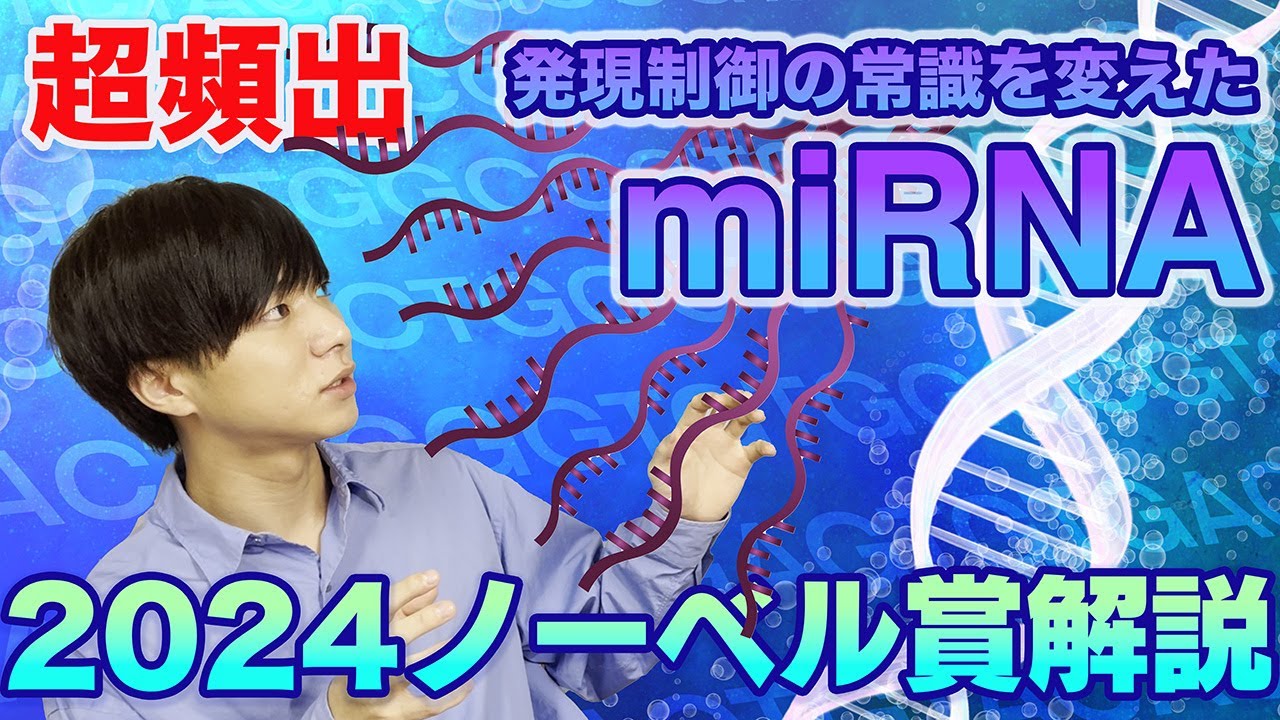 【2024ノーベル生理学・医学賞解説】遺伝子発現の常識を変えたマイクロRNA【医学部編入頻出テーマ】
