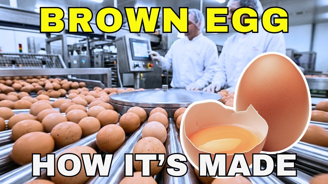 Why Brown Eggs Cost More (It's Not What You Think)