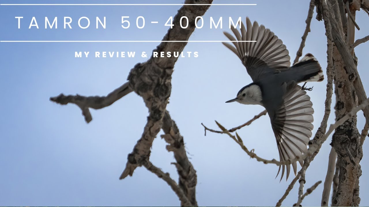 Tamron 50-400mm Lens Review: A Versatile Zoom for Landscapes, Birds, and Wildlife