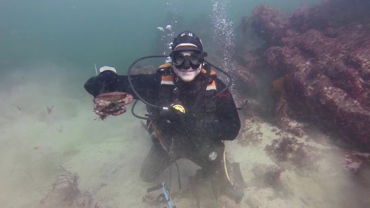 Jim and Joe's Sunday Dive