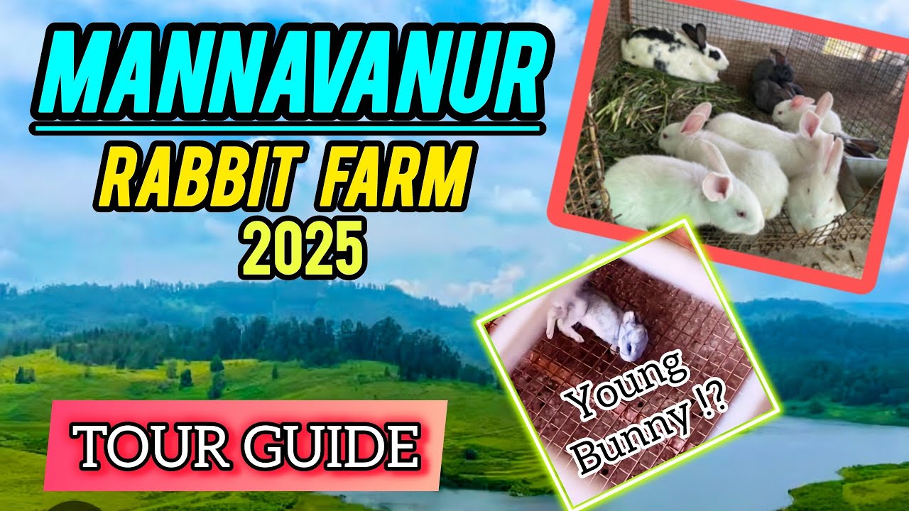 Mannavanur💥Rabbit Farm Vlog | Tour Guide | Mannavanur Vlogs | #Kodaikanal Travel Guide | Rabbit farm
