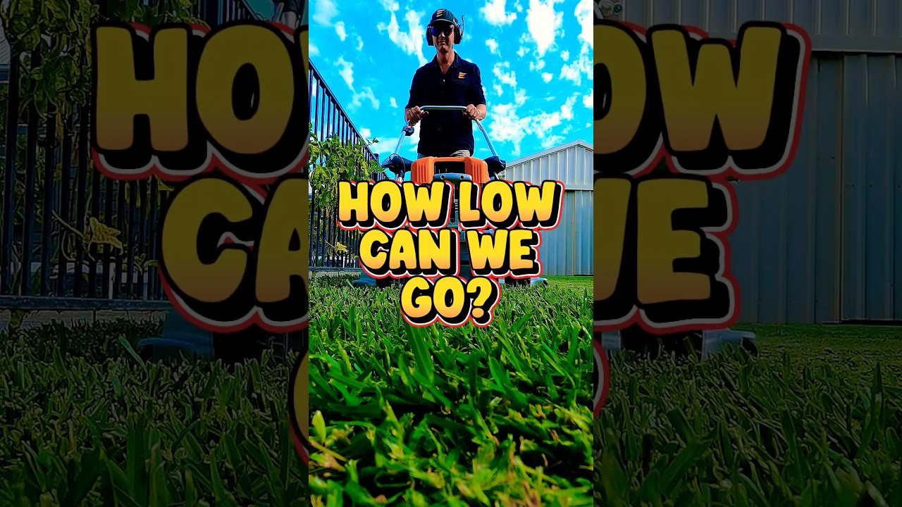 Ground-Level Mow Magic 🪄 Pellenc Rasion 2: Ultra Low Cut 