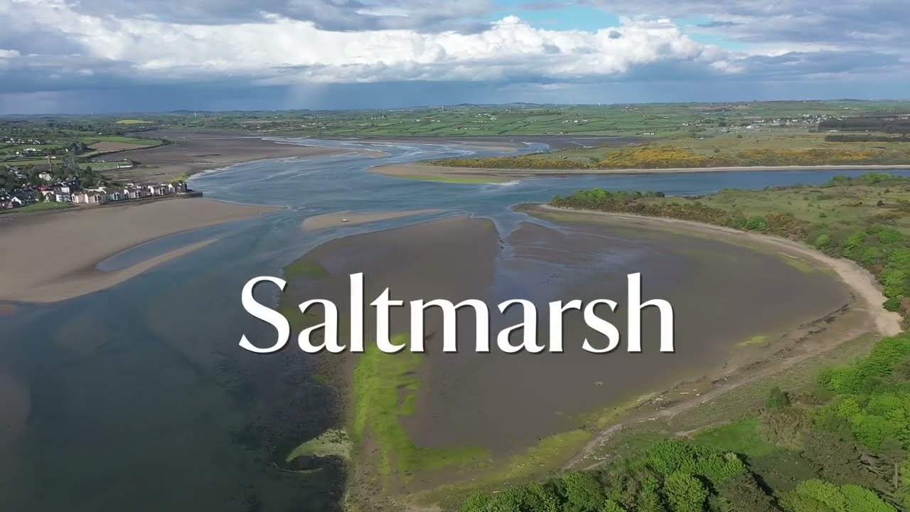 National Trust NI Murlough National Nature Reserve - Saltmarsh