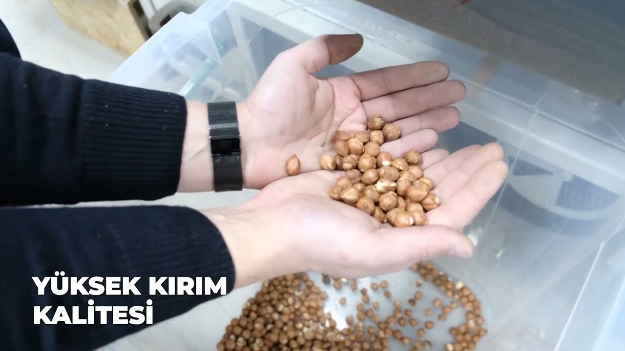 Butik Fındık Kırma Tesisi | Boutique Hazelnut Crushing Facility #fındık #fındıkkırma #hazelnuts
