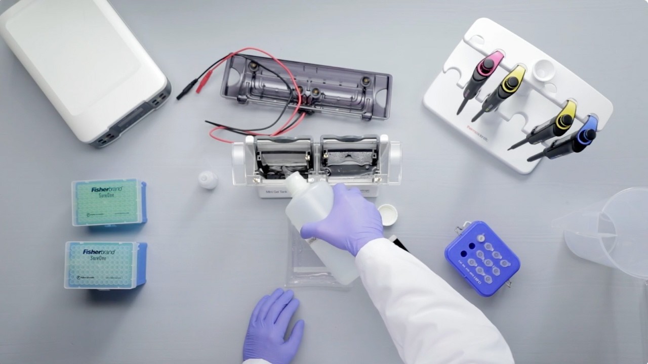 How to Run Protein Gel | Invitrogen Precast SDS-PAGE Guide