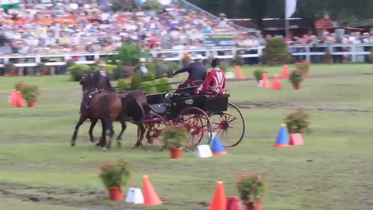 LÁZÁR Vilmos- NEW WORLD CHAMPION 2015