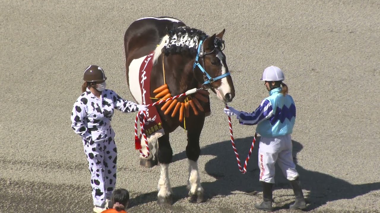 ブチオ号　引退セレモニー