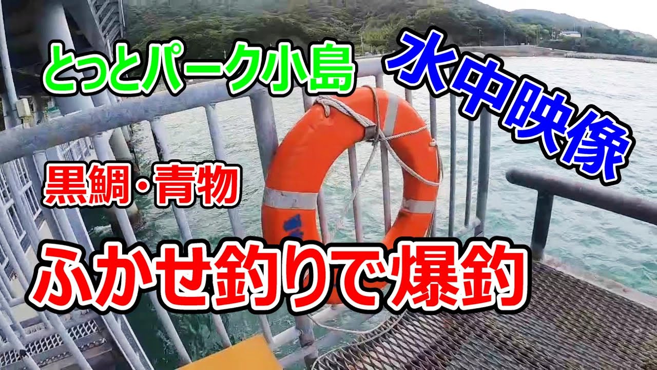 【とっとパーク小島】ふかせ釣りで爆釣。最強の釣り方はこれ！