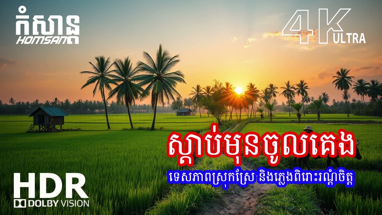 💫 ភ្លេងរាត្រីថ្មី 2026 – សម្លេងទន់ភ្លន់ សម្រាប់គេងសុខសាន្ត