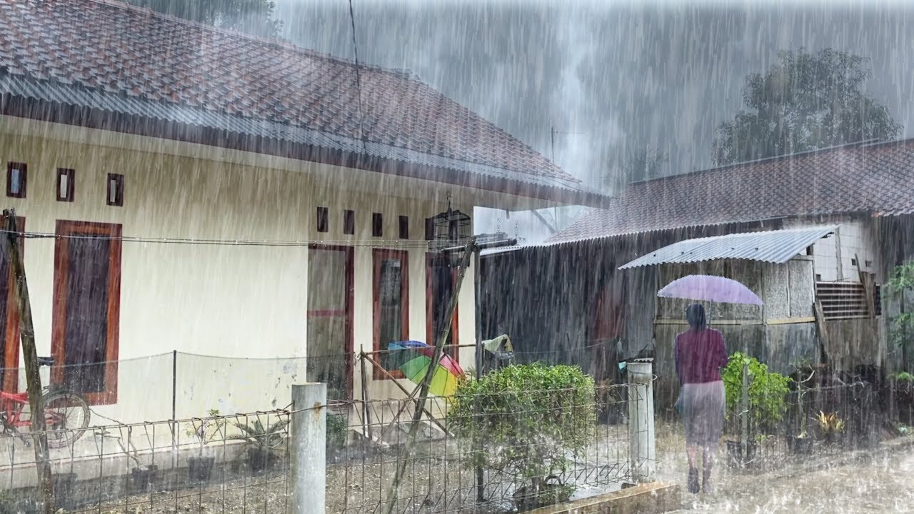 Morning Countryside Rain | Gentle Village Sounds for Relaxation Focus and Peaceful Mood