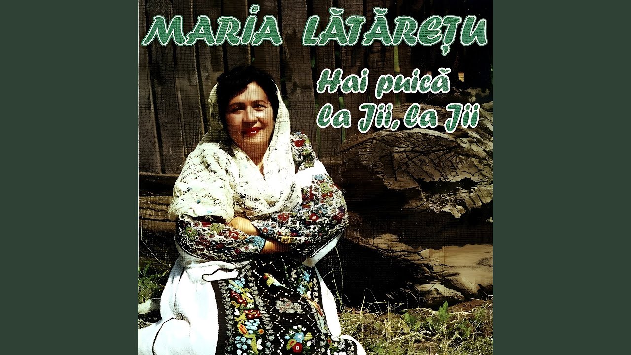 Mă Dusei Să Plâng În Codru