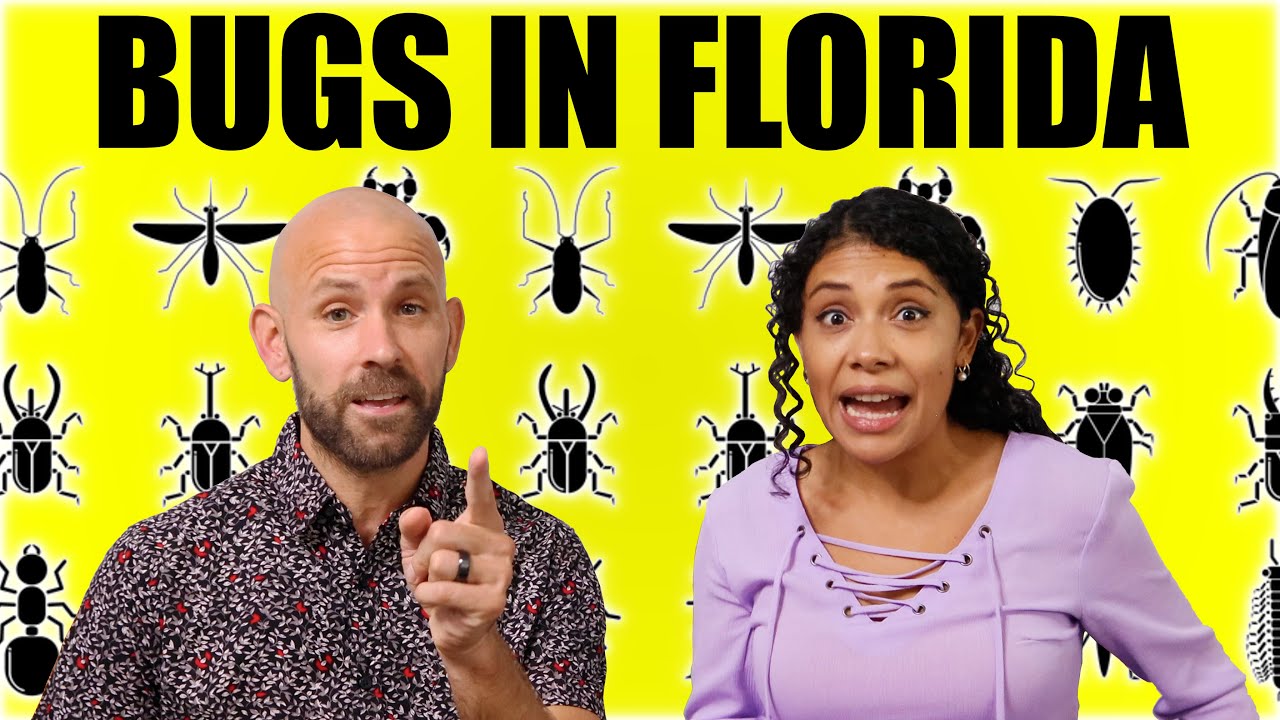 The TRUTH About BUGS In Florida