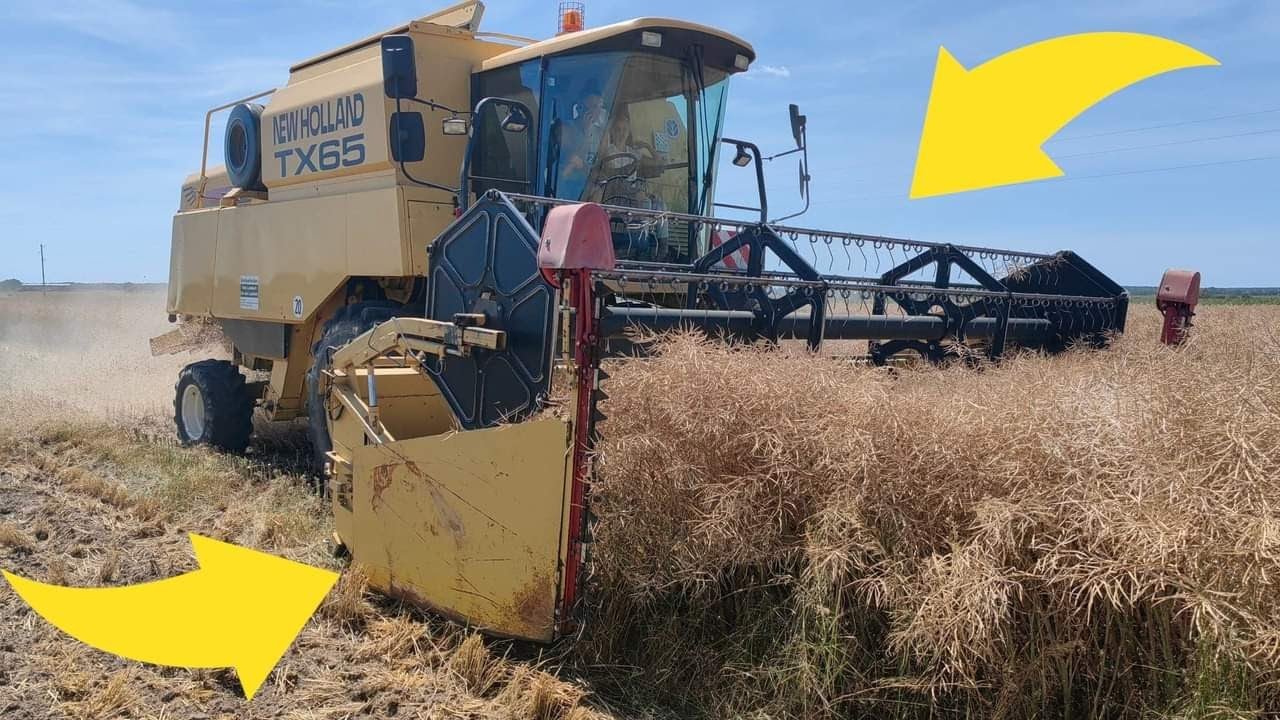 ZAPCHANY KOMBAJN---NEW HOLLAND TX 65---RZEPAK BYŁ DO LIKWIDACJI!!!