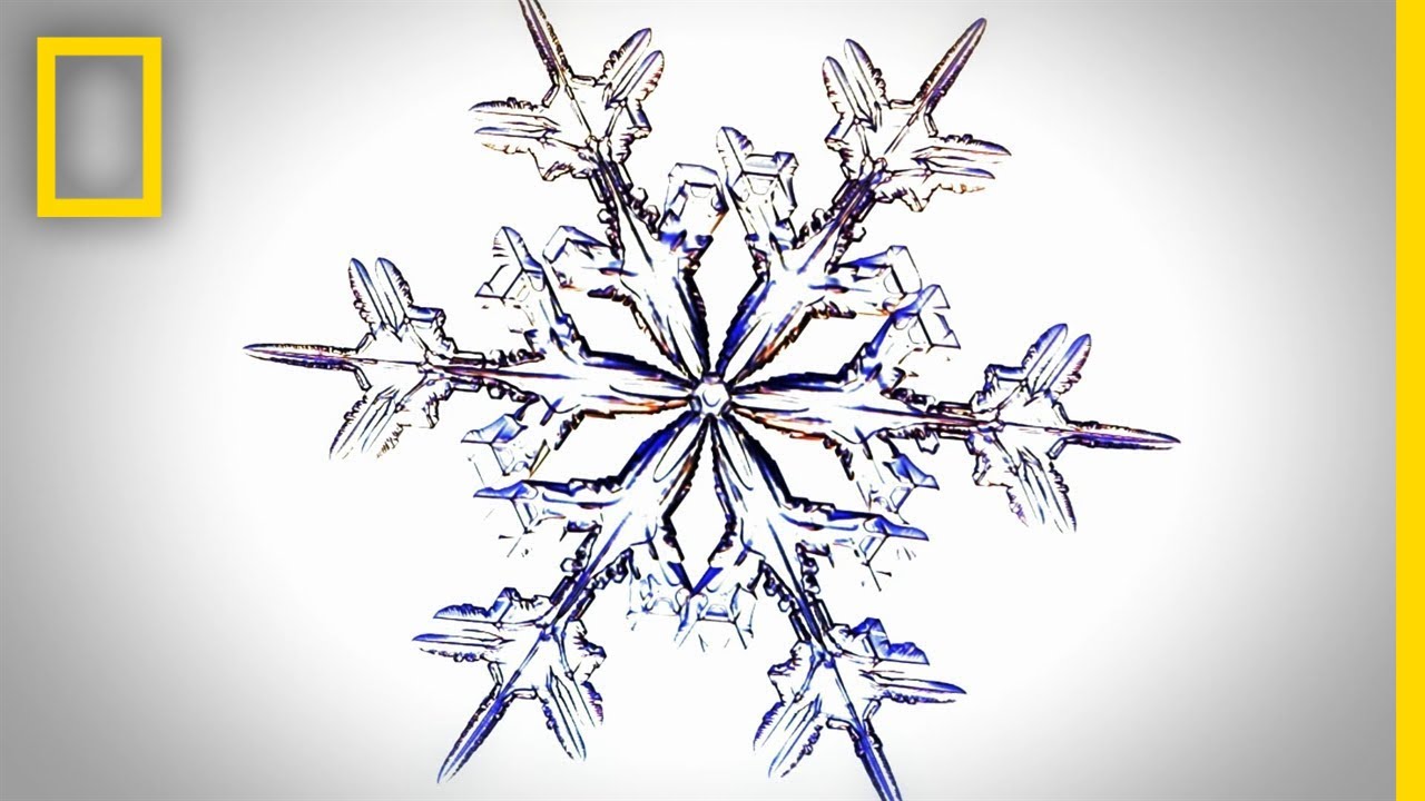 Snowflake Science to Study Avalanches | Explorer