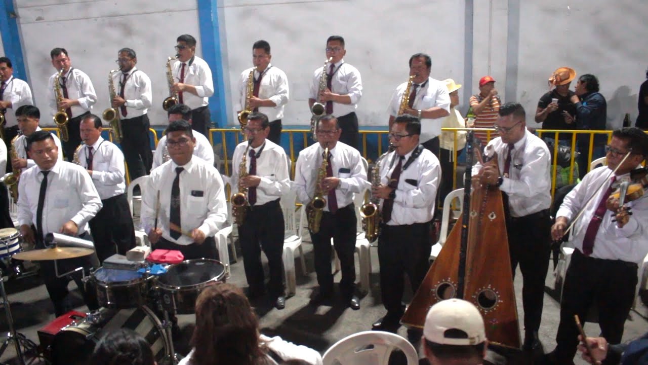 ENGREIDOS INTERGALÁCTICOS DEL PERÚ MULIZA Y HUAYNITOS DE ORO