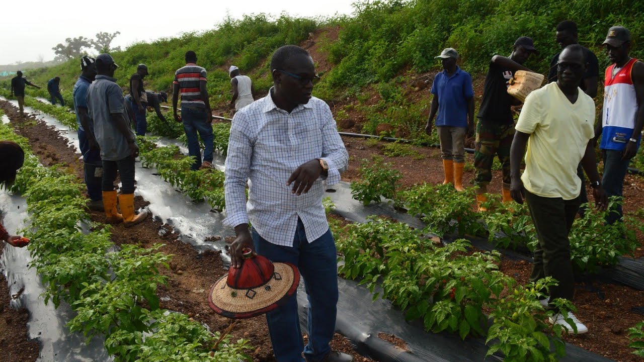 Le Domaine Agro écologique de l'UIDT sur 