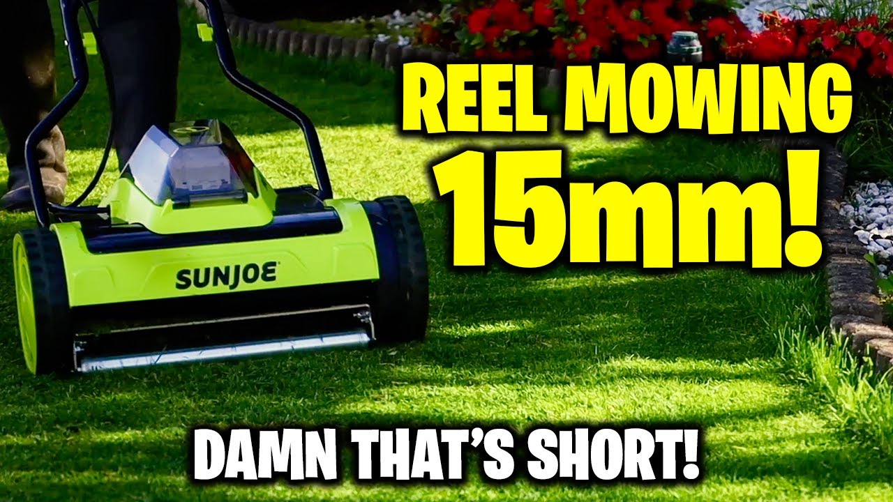 Reel Mowing to 15mm! Road to golf course lawn! 9/16 height of cut Sunjoe Slammed to the ground!
