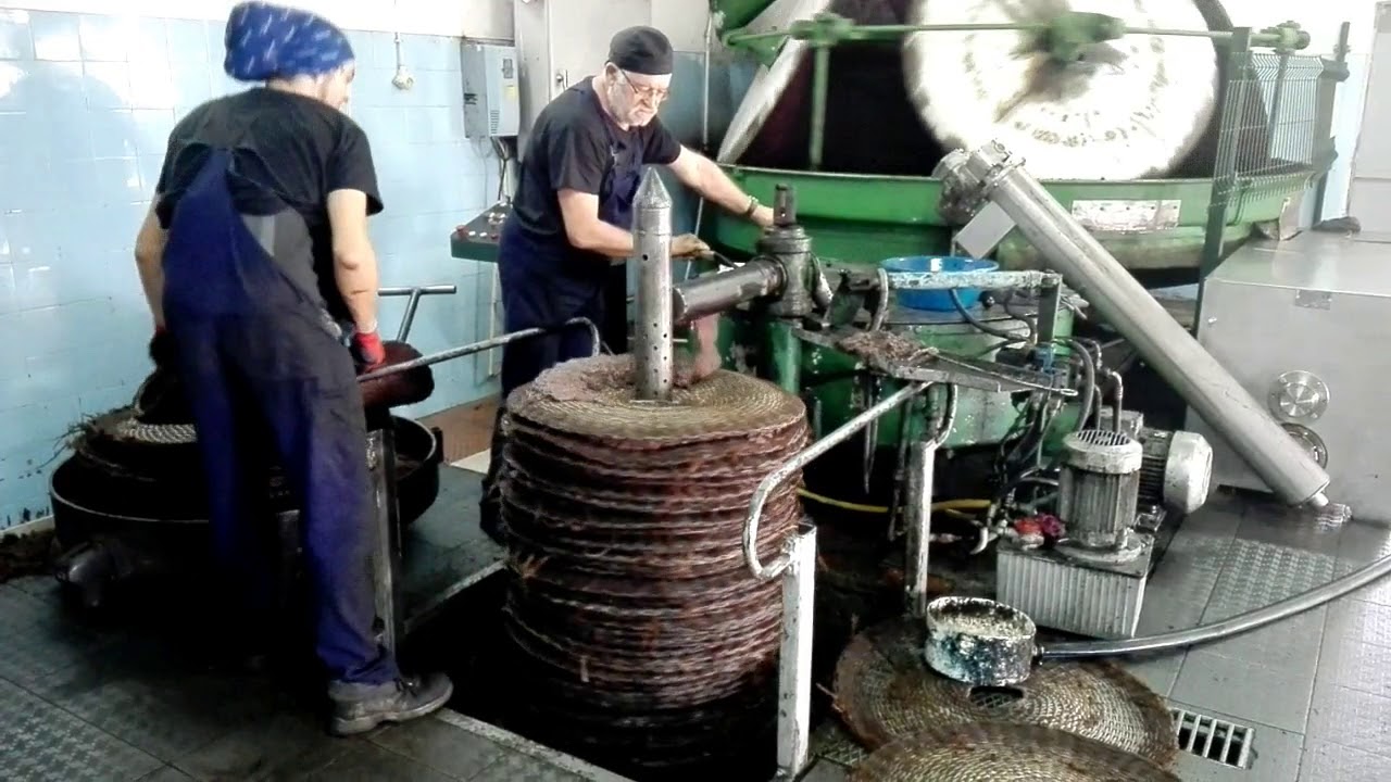 Abrantes/Mouriscas - A desafiante rotina de um lagar à moda antiga