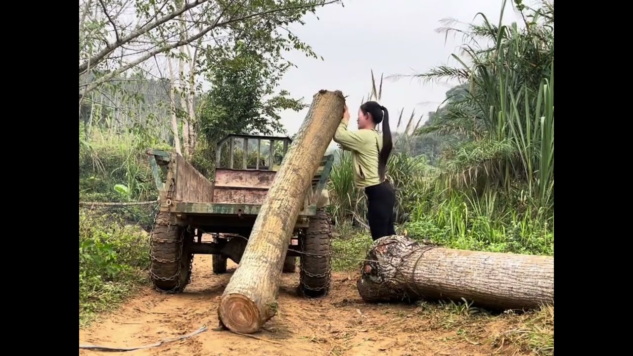 Transporting timber alone on a country road 🪵