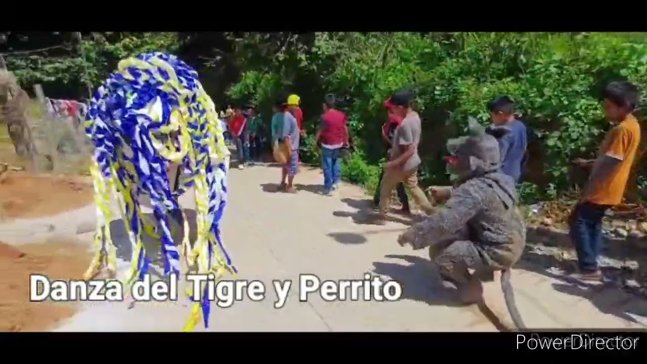 Fiesta Virgen del Rosario. Acatepec Guerrero 2024 .