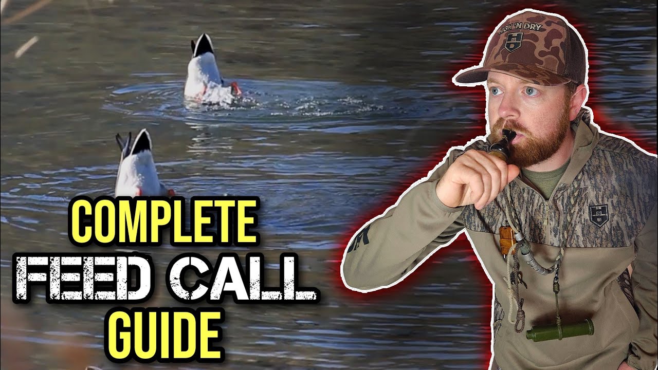 Feed Call Masterclass: Everything You Need To Know (Duck Calling Tips)