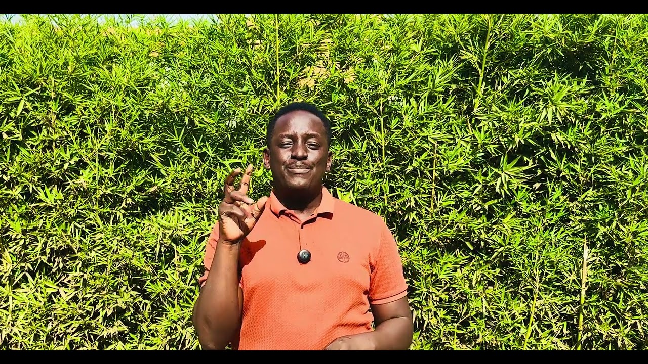 Muziq Lab Tip 013