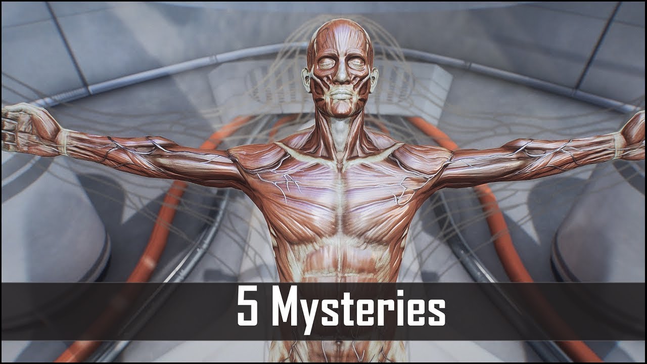 Fallout 4: 5 жутких тайн Содружества, которые вы могли пропустить – Секреты Fallout 4 (часть 3)