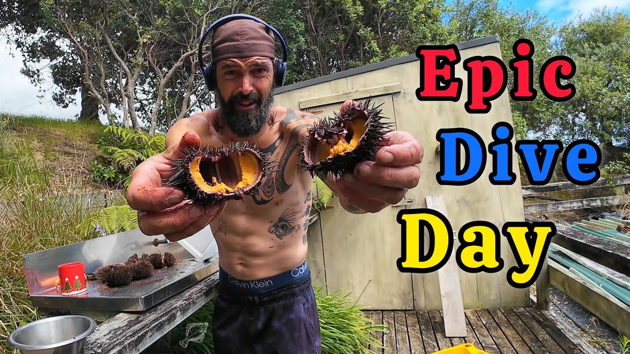 Эпический фридайвинг и подводная охота в Новой Зеландии | Раки, Кина и Большие Поры