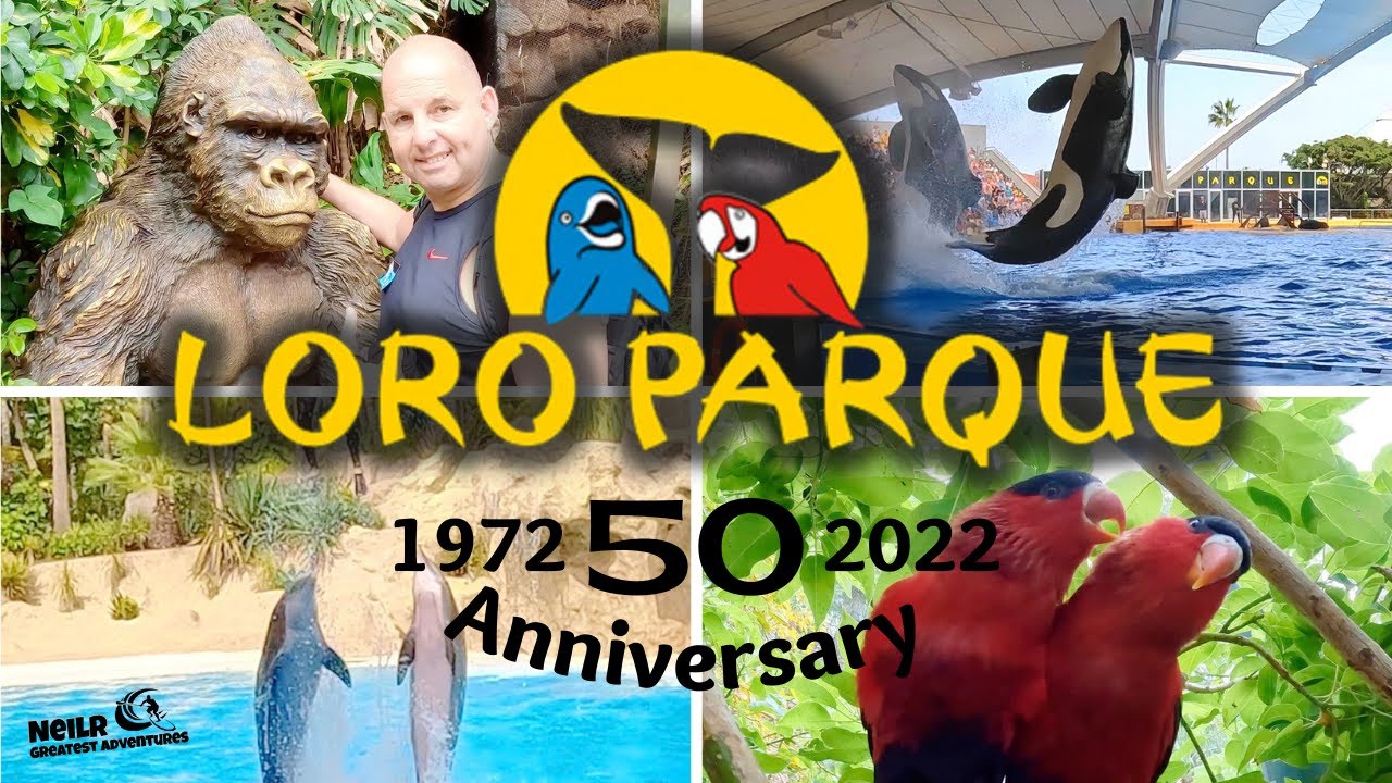 TENERIFE- LORO PARQUE - 50 YEARS ANNIVERSARY 2022 -ANSWER TO  SEAWORLD - MUST WATCH- 4k