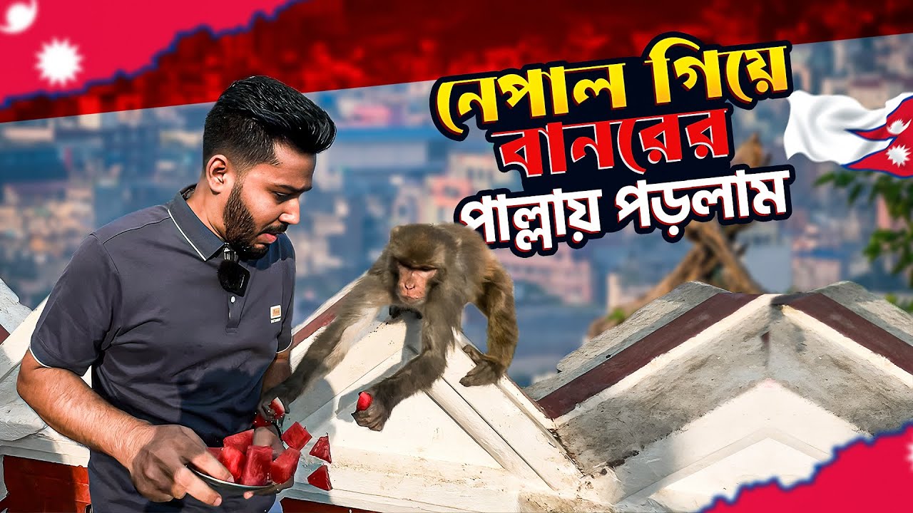 নেপাল গিয়ে বানরের পাল্লায় পরলাম | Kathmandu Nepal Vlog