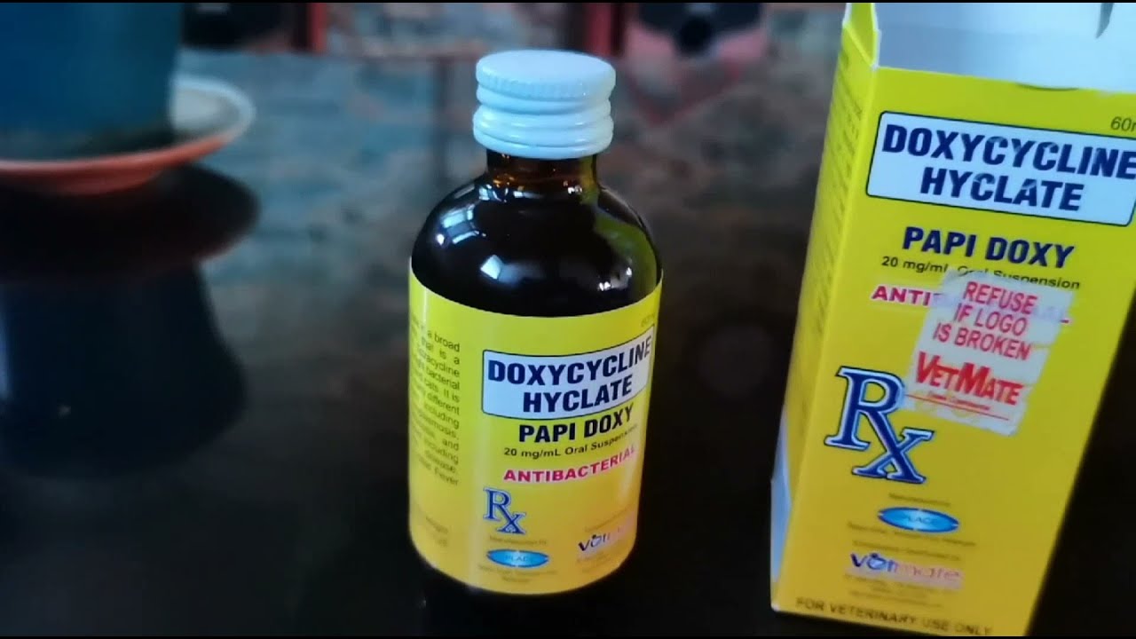 DOXYCYCLINE HYCLATE for Cats and Dogs Review
