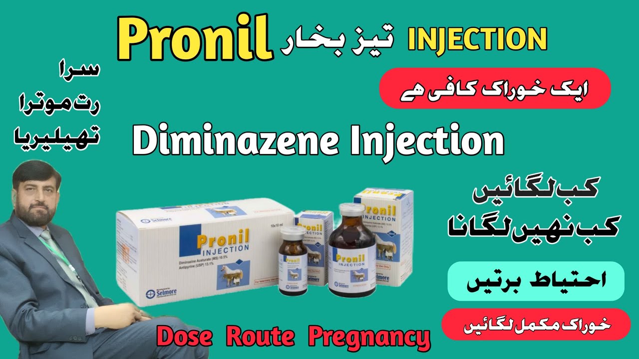 Injection Diminazene For Red Water And Theileria |  Pronil Veterinary Injection Detail in Cattle