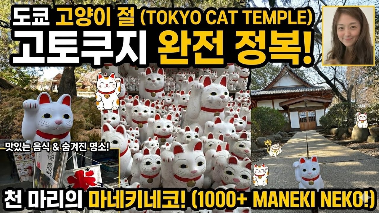 행운의 명소, 고양이 1,000마리가 빌어주는 복(福) | 고토쿠지 & 맛집 탐방